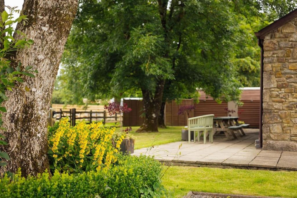 Dairy Cottage At Scolton Cottages - Indoor Pool Haverfordwest Exteriör bild